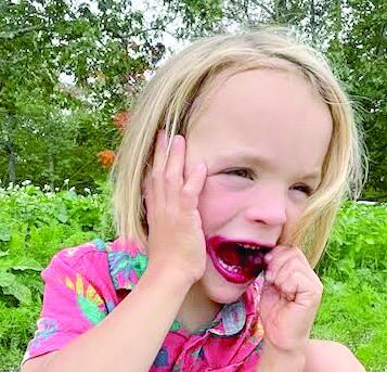 Bridgton Farmers’ Market Recipe: A Bejeweled Salad